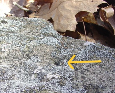 America's Stonehenge - Conical Drilled Hole in Cupule Stone